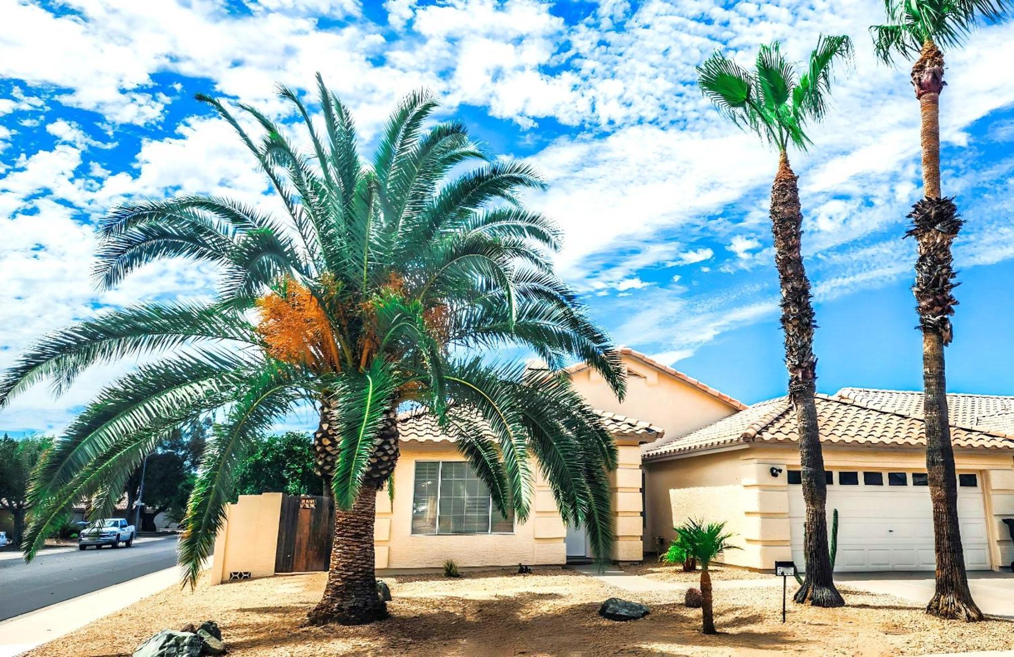 North Phoenix At Your Fingertips Εξωτερικό φωτογραφία